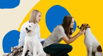 How to become a Pet Sitter (Guide & Salary)