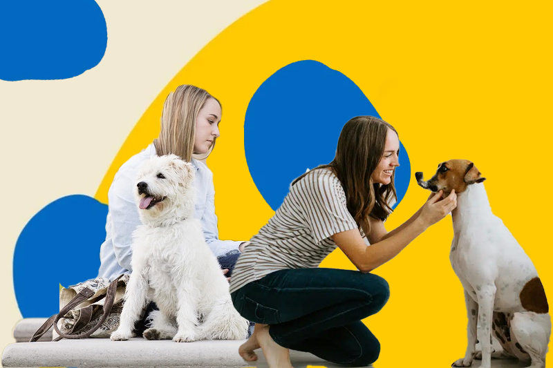 how to become a pet sitter (guide & salary)