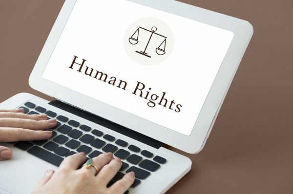 Human Rights Litigation T