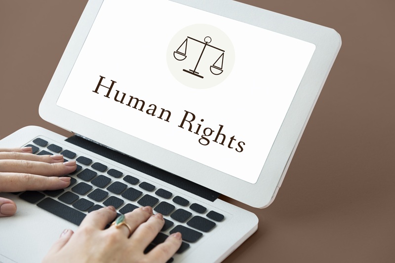 Human Rights Litigation T