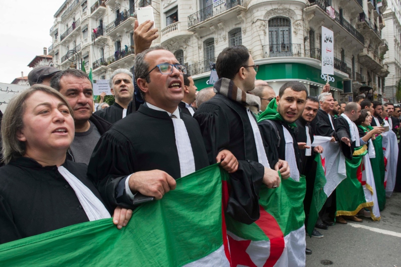 human rights lawyer blamed for having terrorism links in algeria