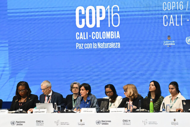 human rights and biodiversity key un biodiversity summit opens in colombia