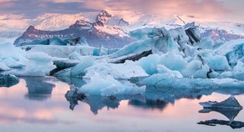 Landmark climate change case heard by South Korean Constitutional Court