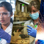 is basic industries a good career path
