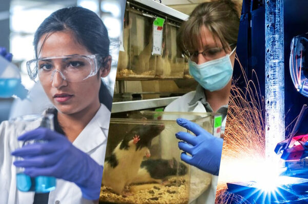 is basic industries a good career path