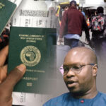increased emigration could create remittance opportunities for nigeria in future – cheta nwanze