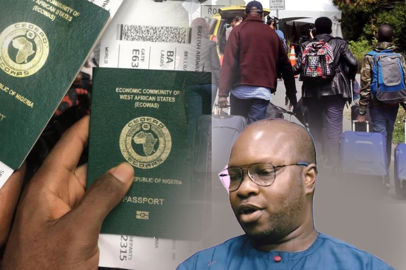 increased emigration could create remittance opportunities for nigeria in future – cheta nwanze