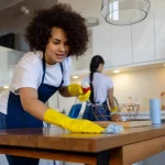 indonesia domestic worker law