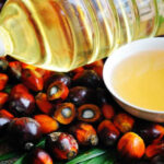 indonesia palm oil