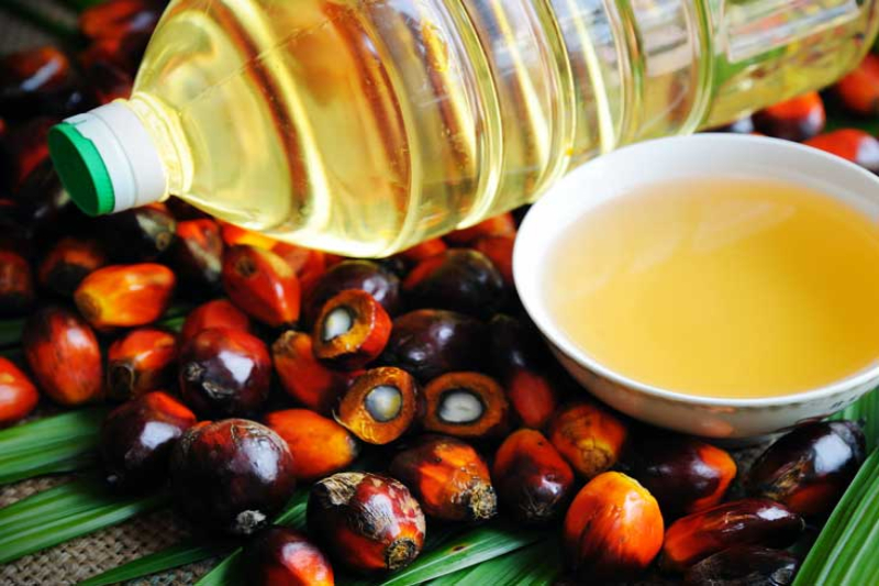 indonesia palm oil