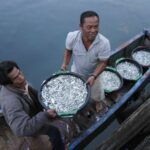 indonesia finally issues long awaited regulations to protect migrant fishermen