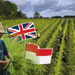 indonesians wait for uk farm jobs after paying deposits of up to £2,500
