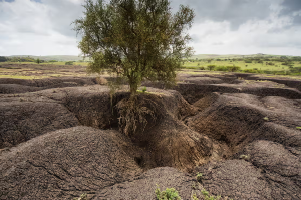 instability and migration land degradation affecting 3 billion people globally