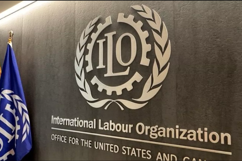 international labour organisation shares a positive global trend let’s find out