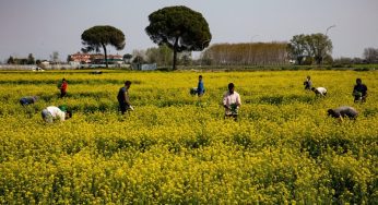Italian labor ministry warns against ‘digital gang-master’ threat for migrant workers