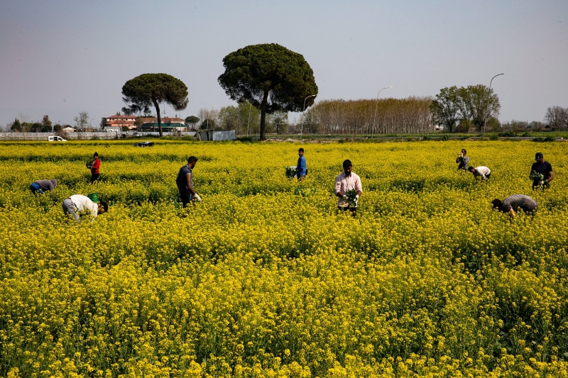 italian labor ministry warns against ‘digital gang master’ threat for migrant workers
