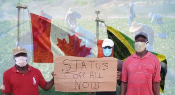 Jamaican farmworkers decry seismic-level exploitation in Canada