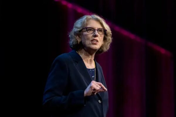 juliet schor (sociologist, boston college)