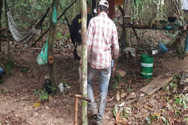 labor abuse amazon forest