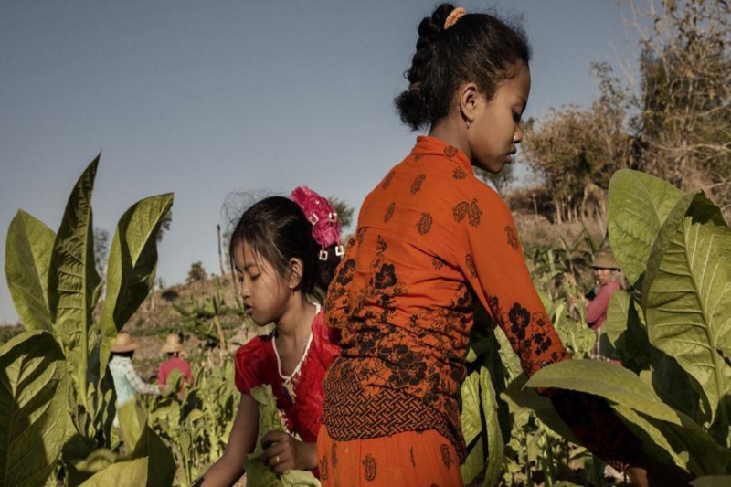 Rural ethnic minorities in Laos struggle with rampant child labor