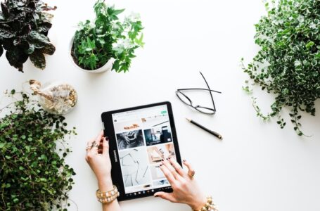 5 Latest Business Ideas You Can Start With Minimal Efforts