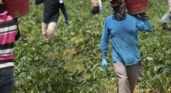 MEDU Report Highlights Struggles of Migrant Workers in Italy