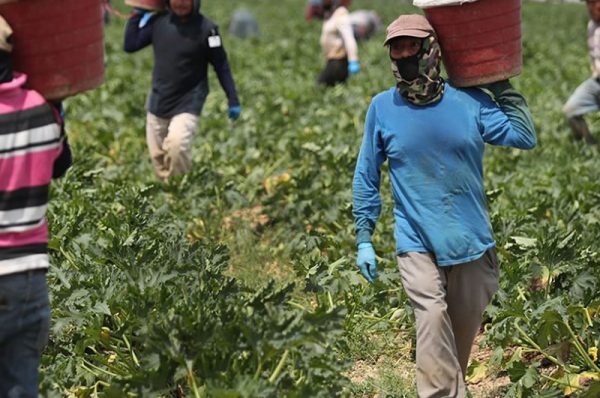 medu report highlights struggles of migrant workers in italy