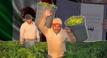 COVID-19: Mexico urges US to vaccinate its migrant workers