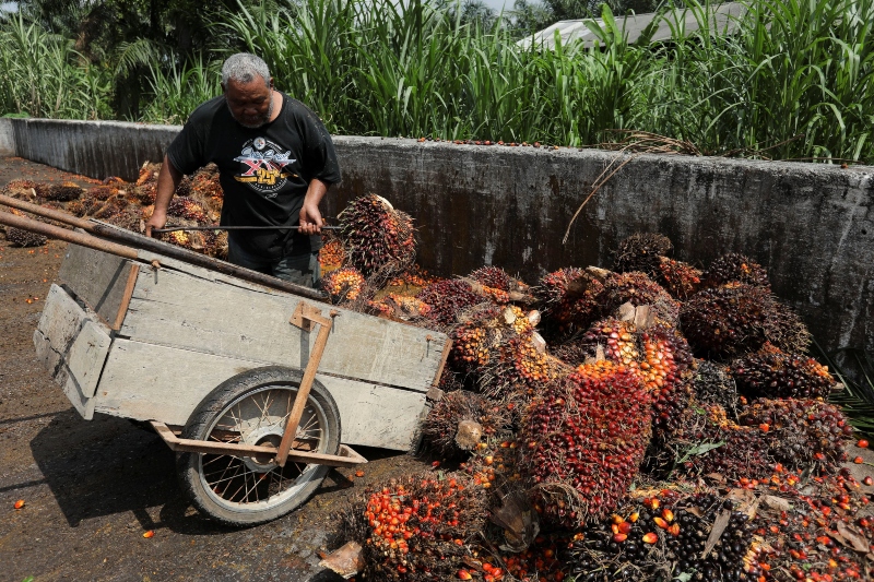 malaysian businesses are declining orders