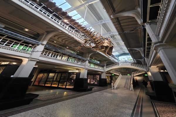 manchester museum