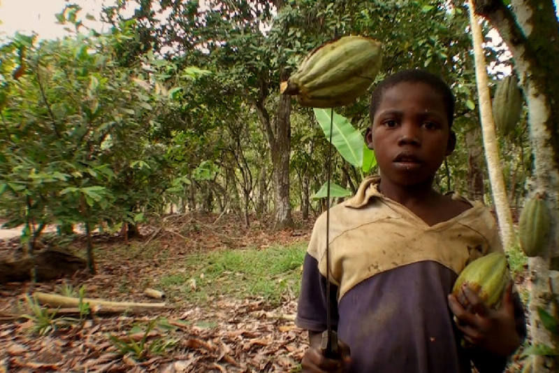 mars chocolate child labor controversy company use kids as young as 5