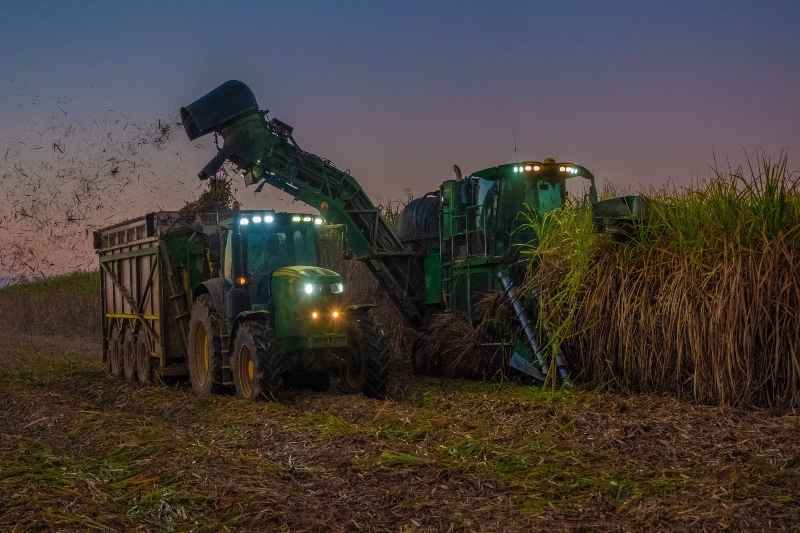 mexican migrant workers on louisiana sugar cane farms shortchanged by labor company