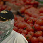 mexico probing allegations of forced labor at tomato export firms