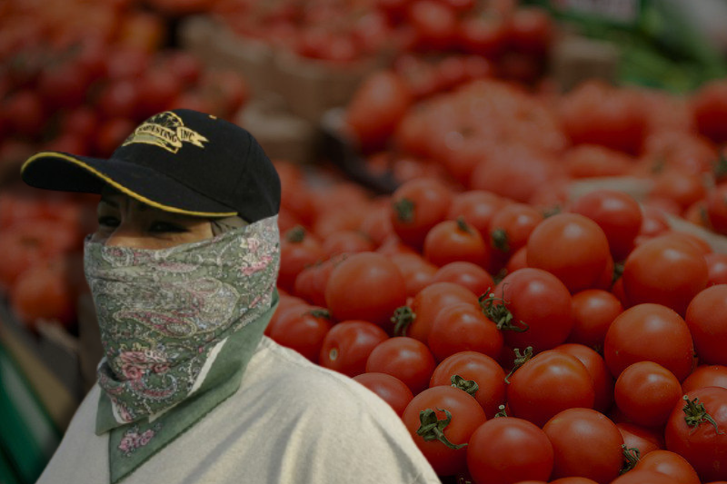 mexico probing allegations of forced labor at tomato export firms