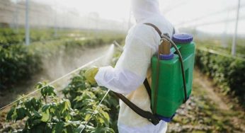Michigan Farm Producer Pulled To Court Over Pesticide Exposure On Migrant Workers