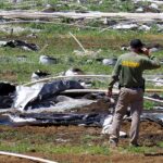 migrant oregon weed workers face threats amid illegal boom