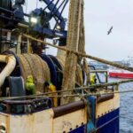 migrant fishermen report ongoing racial abuse, low pay and poor treatment