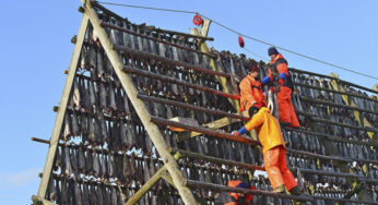 Migrant workers in Norway complain of being pushed to limit