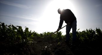 Migrant workers died while in isolation for Covid in Canadian province