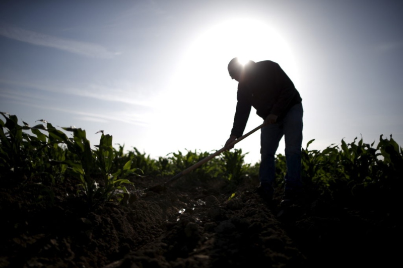 migrant workers died while in isolation for covid in canadian province