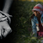 migrant workers forced into modern day slavery at gunpoint; 24 people booked