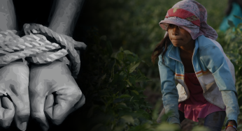US: Migrant workers forced into modern-day slavery at gunpoint; 24 people booked