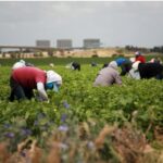 migrant workers in manitoba perceived disposable since eons, time to change the narrative