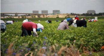 Migrant workers in Manitoba perceived disposable since eons, time to change the narrative