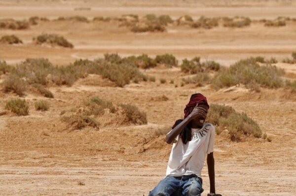 migrants are dying in u.s. desert due to extreme heat and no water