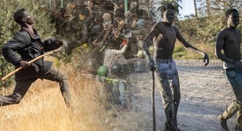 Migrants building life in Spain face ’emotional toll’ after deadly journey
