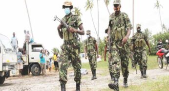 Mozambique to probe human rights violations in Cabo Delgado