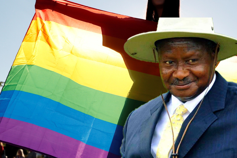 museveni approves the anti gay law
