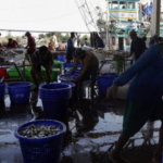 myanmar migrant workers advised not to participate in political rallies in thailand