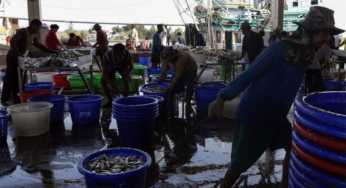 Myanmar Migrant Workers Advised Not to Participate in Political Rallies in Thailand